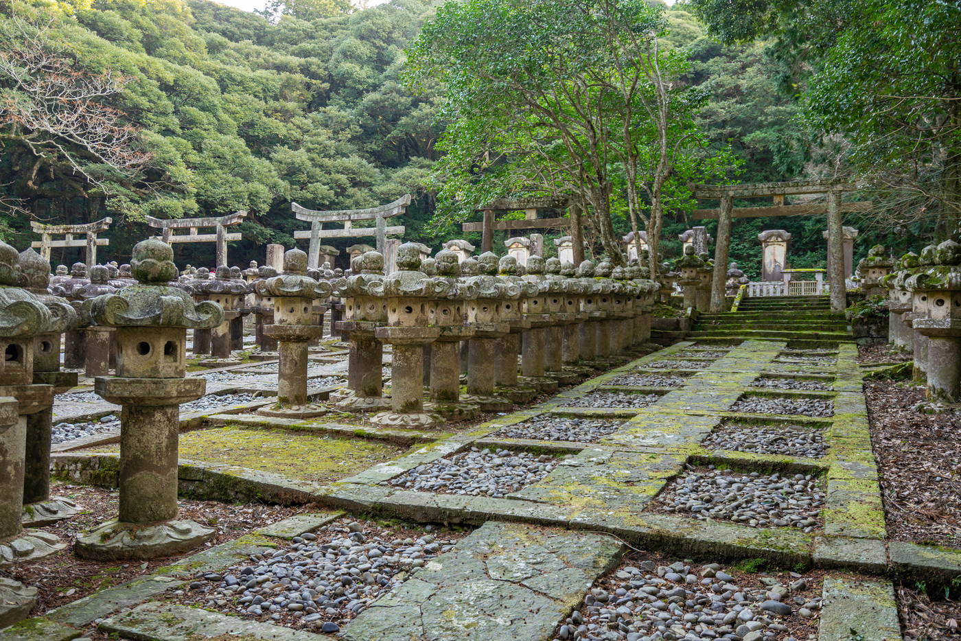 山口 萩 東光寺 霊廟 廟所