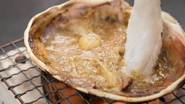 食事・飲み物 / 25