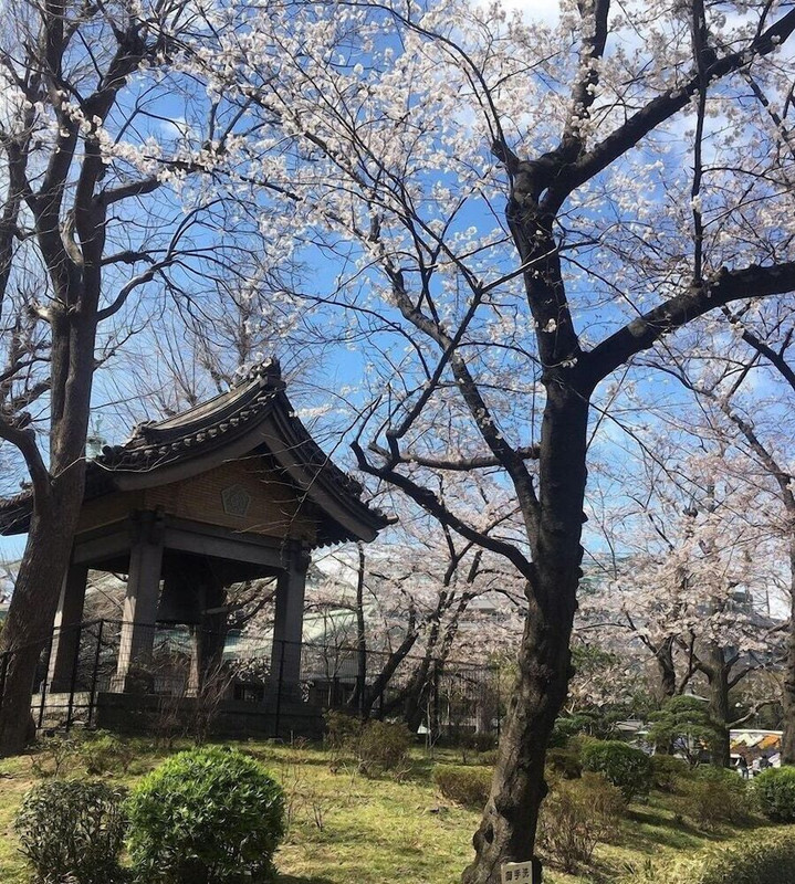 観光スポット