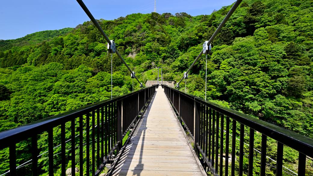 鬼怒楯岩大吊橋 / 1