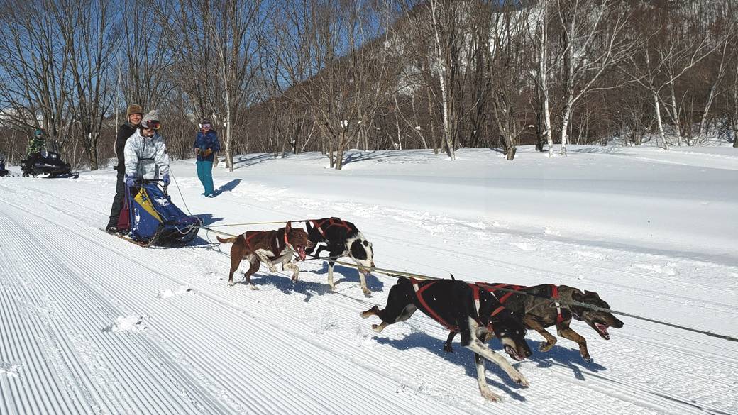 ゲレンデまで徒歩0分
広大な雪原で遊ぼう / 4