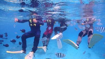 プロ ショップ / 4