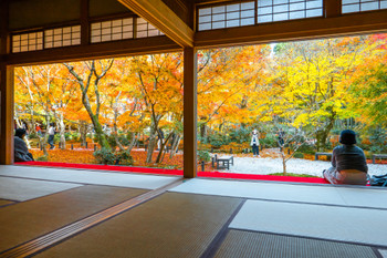 Togyu Garden as seen from a Japanese-style room