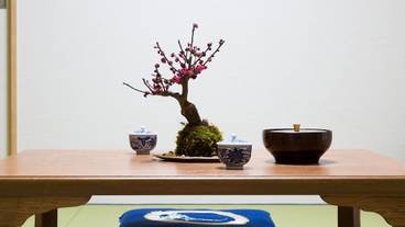 リビングルーム / 35