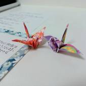 赤坂アーバンホテル（東京都 ビジネスホテル） / 5