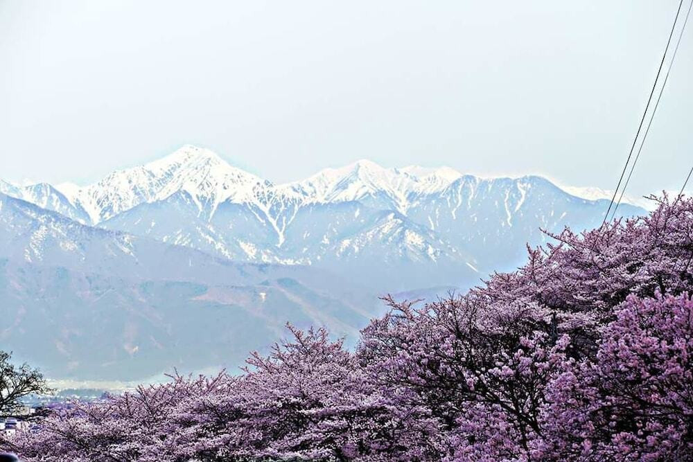 施設からの眺望