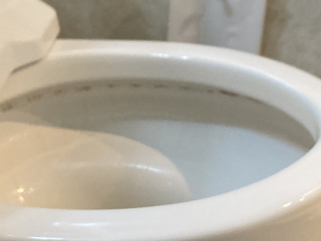 便器のヘリにカビが着いてます