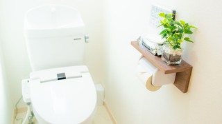 洋室 スタンダードヴィラ B