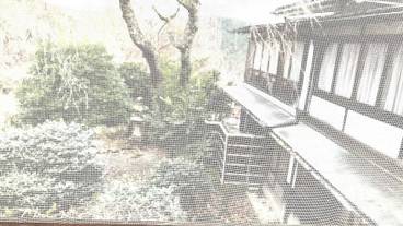 客室 / 10