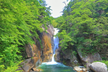 Fresh green Senga Falls (Shosenkyo)
