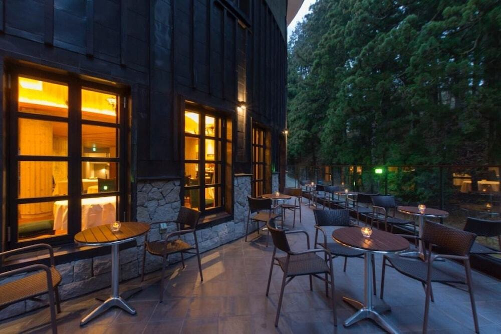 テラス / パティオ