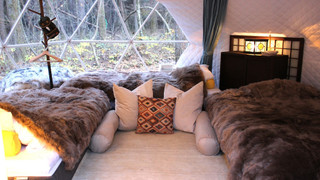 Glamping Hanz Pao (大人3名)