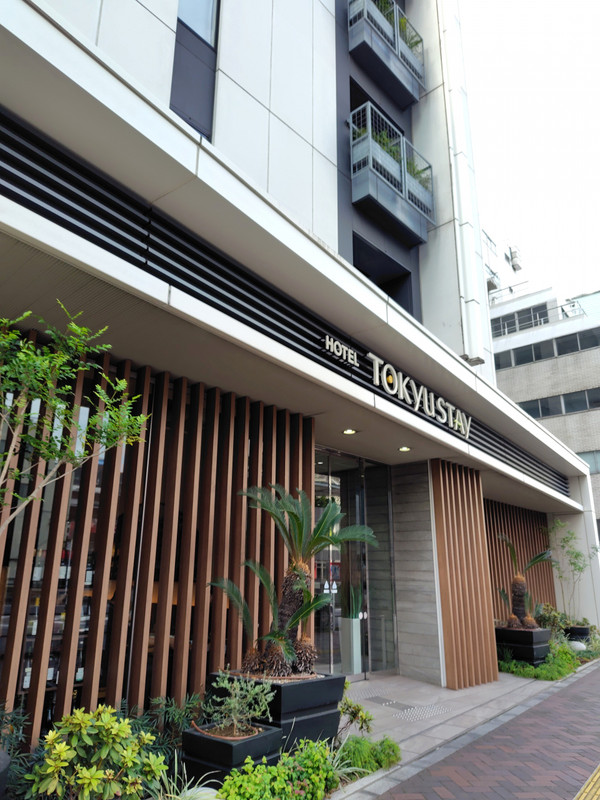 入口わきに緑がおかれています