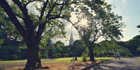 東京のオアシスをお散歩しましょ♪「映画のロケ地」になった公園8選