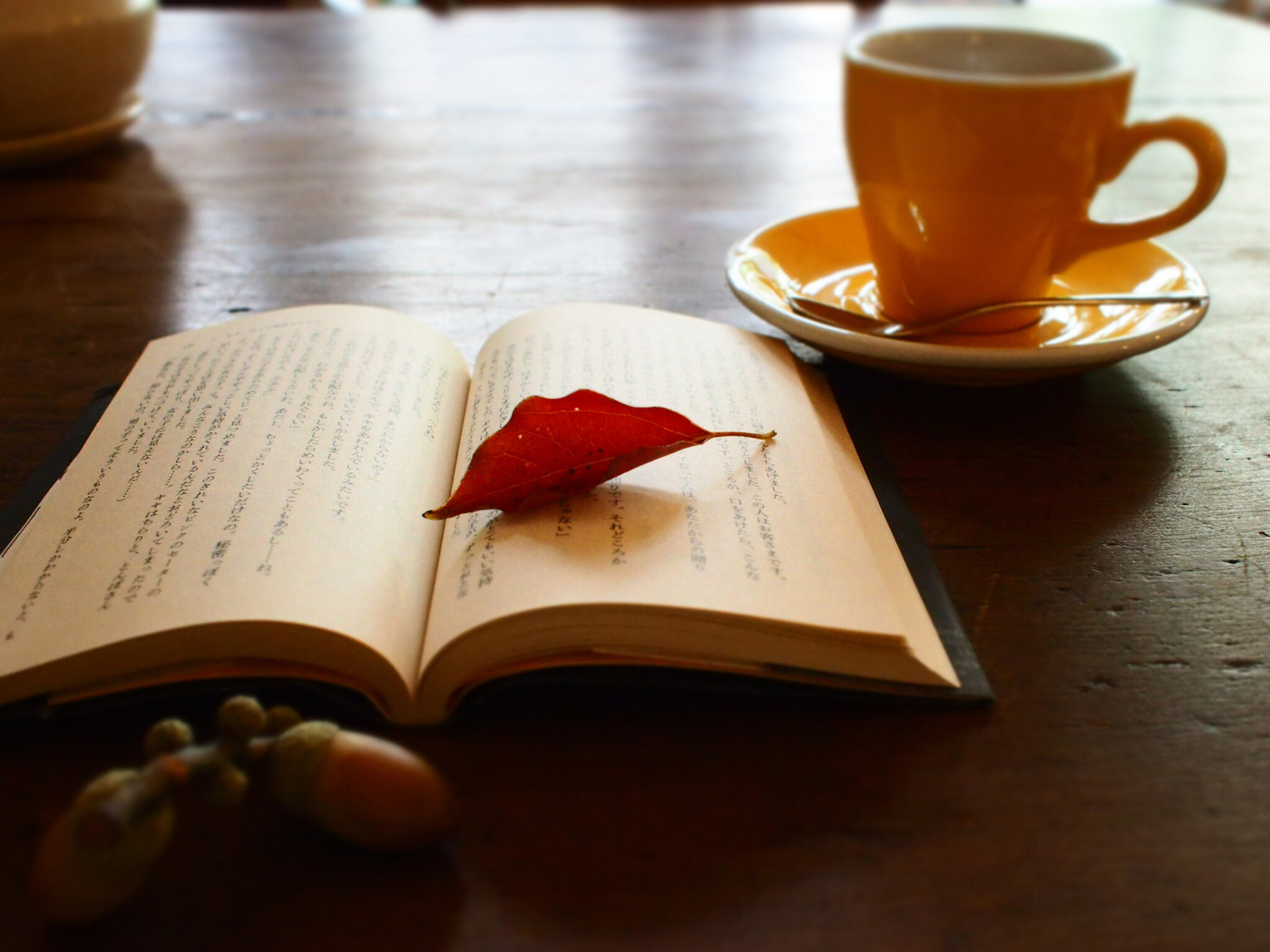 カフェでのんびり読書