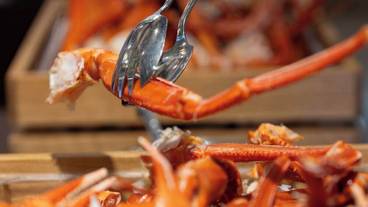 食事・飲み物 / 7