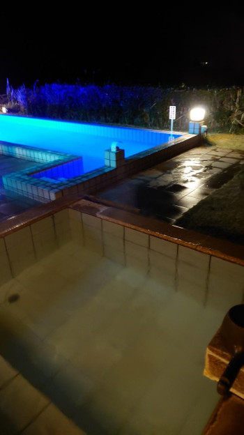 森の緑に囲まれたプール付きヴィラ3643463