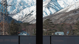 ジュニア スイート