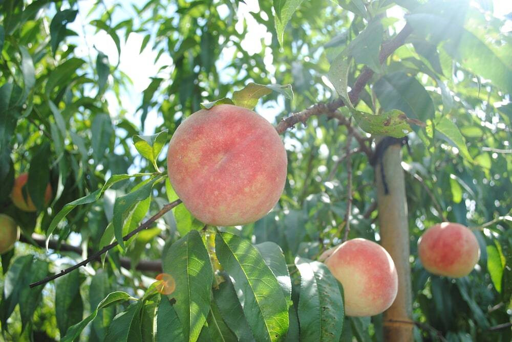 個性あふれるオーダーメイドの露天風呂付き客室が楽しい♪4256842