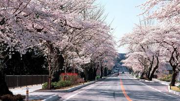 施設からの眺望 / 37