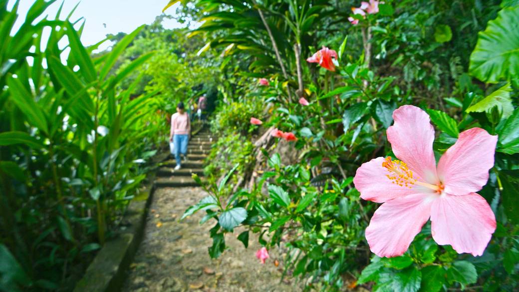 さちばるの庭 / 2