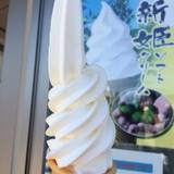 鬼ヶ城センター（オニガジョウセンター）