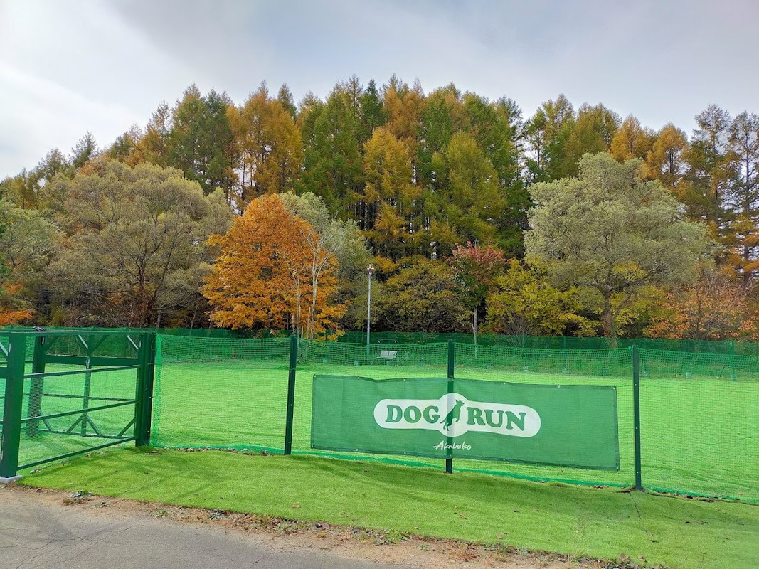 管理棟前のドッグラン