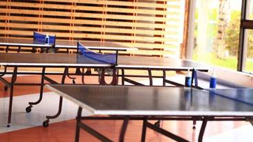 スポーツ場 / 17