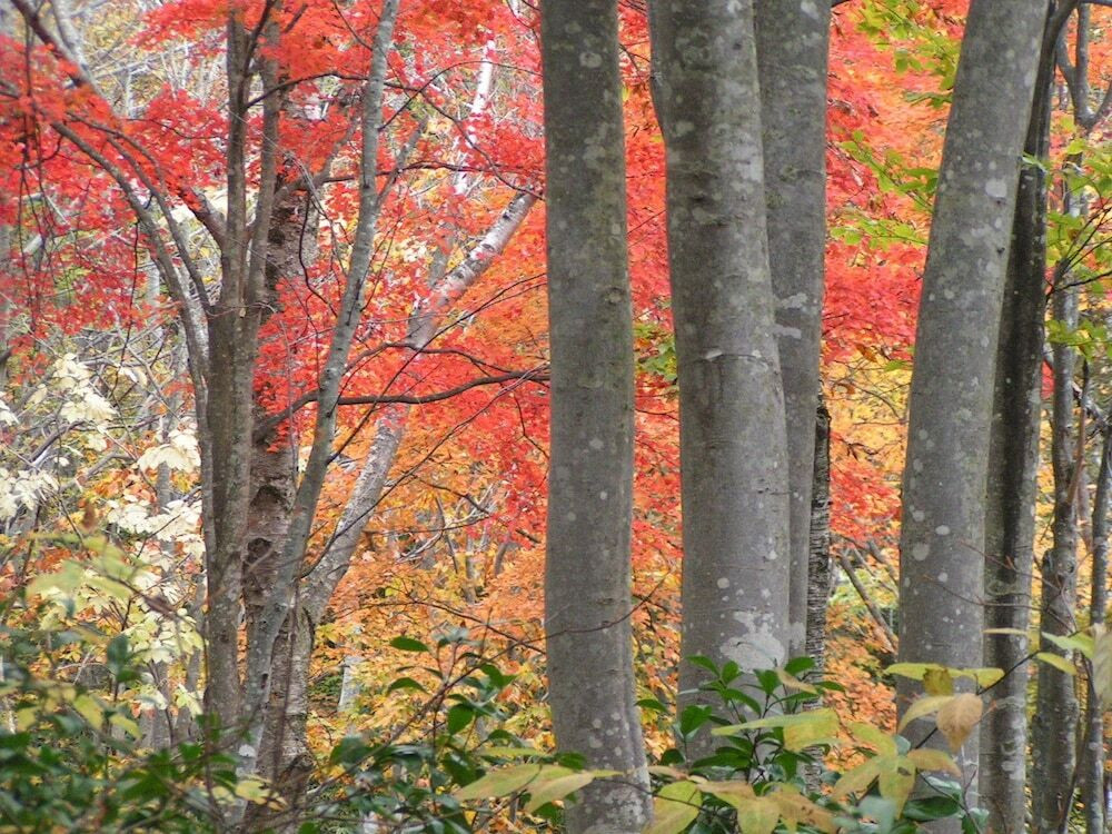 施設からの眺望