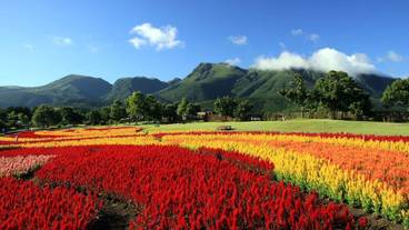 シティ ビュー / 12