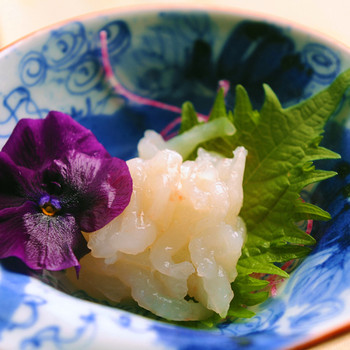 富山の「キトキト」な素材を堪能！3680045