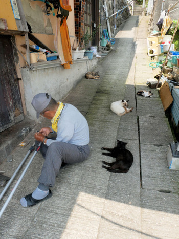 猫のシエスタ 建物の陰で休む猫たちと作業する湯島の住民 (熊本県上天草市)