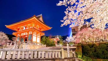 施設からの眺望 / 9