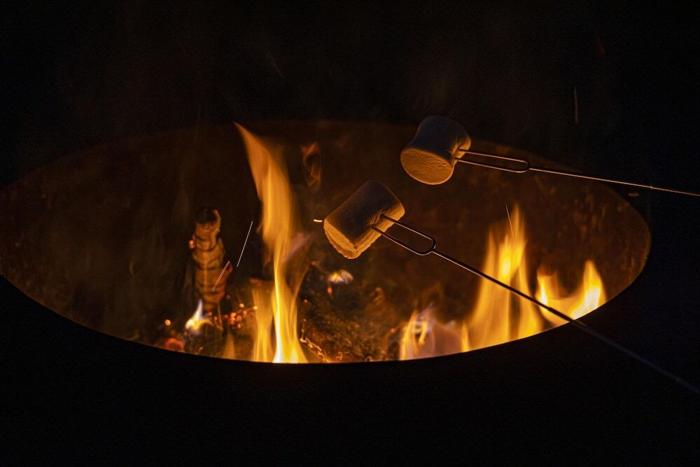 子供向けアクティビティ