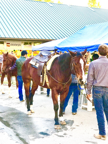 八ヶ岳で乗馬体験