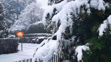 シティ ビュー / 37