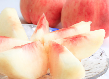 福島で “美味しさ以上の幸せ” 満ちる特別なグルメ旅を2017090