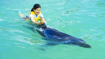 子供向けアクティビティ / 14