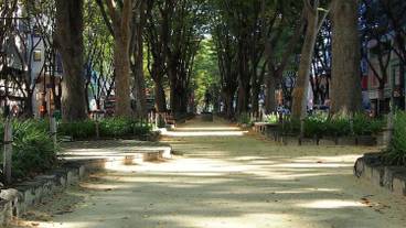 施設の敷地 / 18