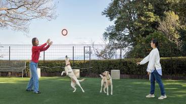 ペット同伴可 / 9