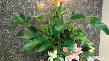 チェックイン / チェックアウト キオスク / 2