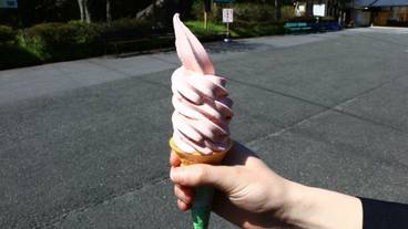 ギフト ショップ / 11