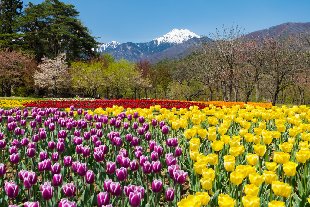 清流と澄んだ空気に包まれて…自然豊かな「安曇野」の旅3449808