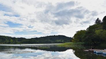 観光スポット / 5