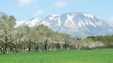 シティ ビュー / 10