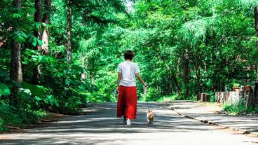 ペット同伴可 / 7