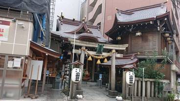 シティ ビュー / 26