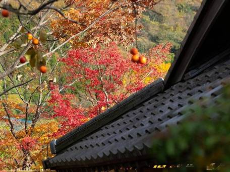 由布院温泉 湯布院 山灯館 / 3