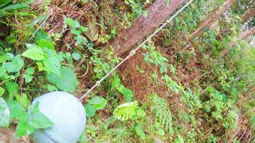 子供用の遊び場 - 屋外 / 5