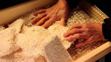 食事・飲み物 / 24